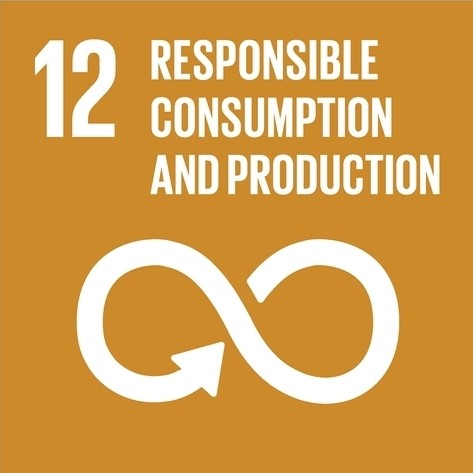 SDG 12 SDG 12