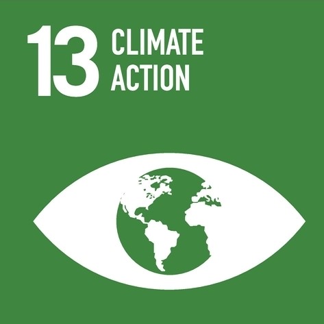 SDG 13 SDG 13